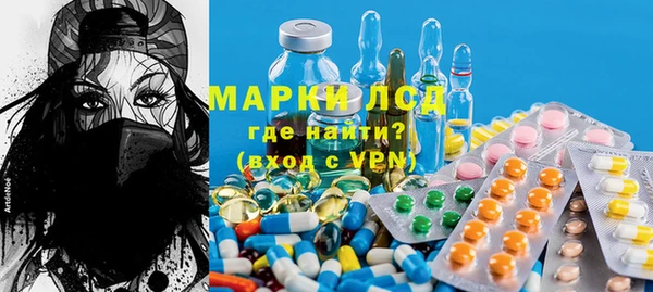 стафф Вязьма