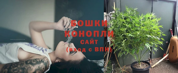 ALPHA PVP Вяземский