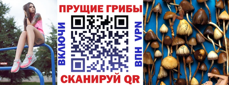 Галлюциногенные грибы MAGIC MUSHROOMS  где можно купить наркотик  Новокузнецк 